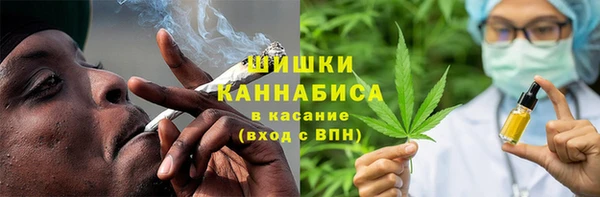 сатива Арсеньев