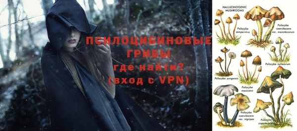 сатива Арсеньев