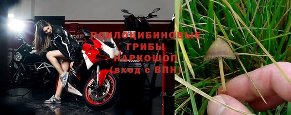 молекула духа Аркадак