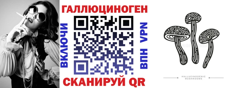 Купить где Жердевка Галлюциногенные грибы мицелий